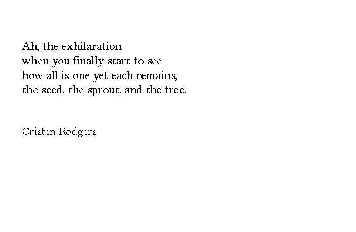 all is one yet each remains